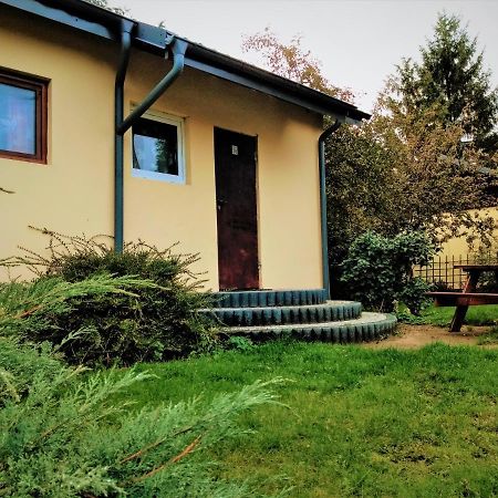 Ow Wilk - Pokoje I Domki Z Aneksami Kuchennymi, Parking, Plac Zabaw Łeba Exteriör bild