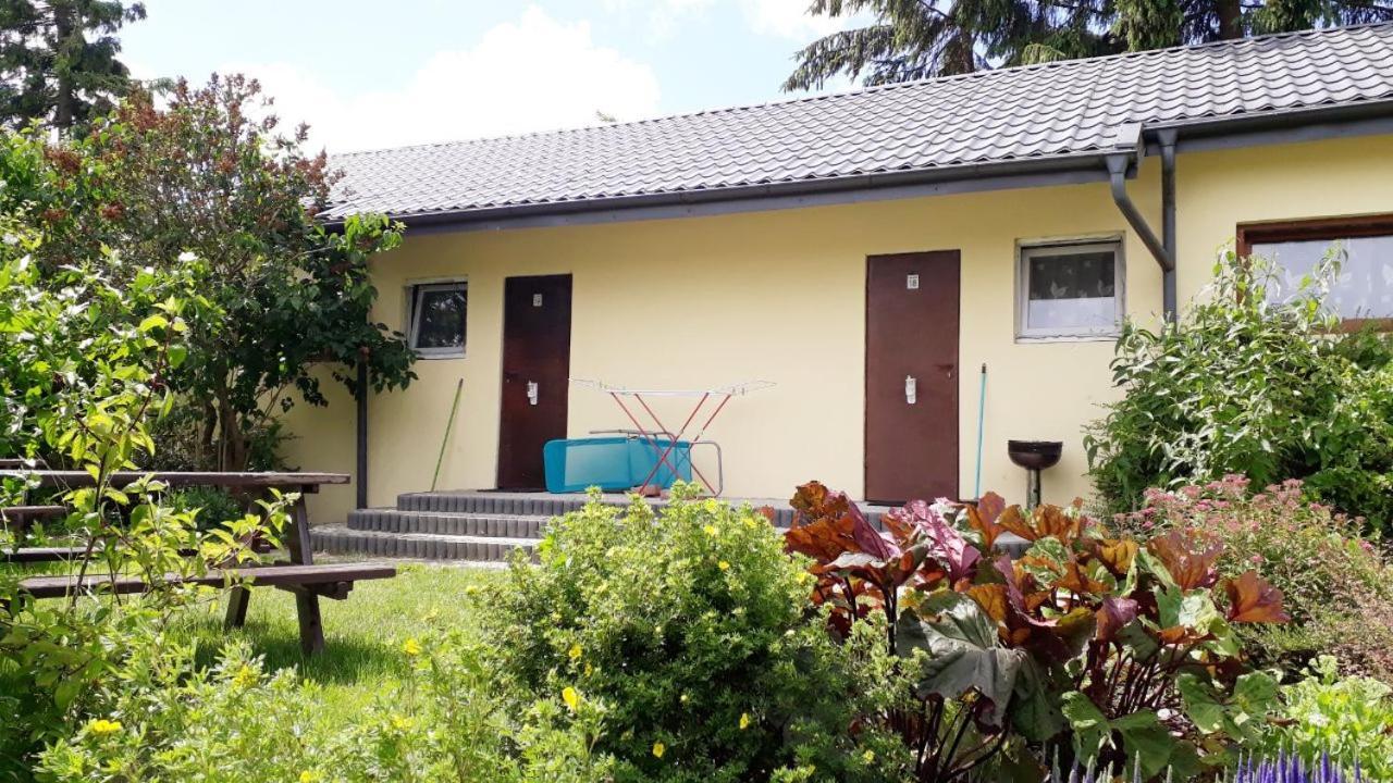 Ow Wilk - Pokoje I Domki Z Aneksami Kuchennymi, Parking, Plac Zabaw Łeba Exteriör bild