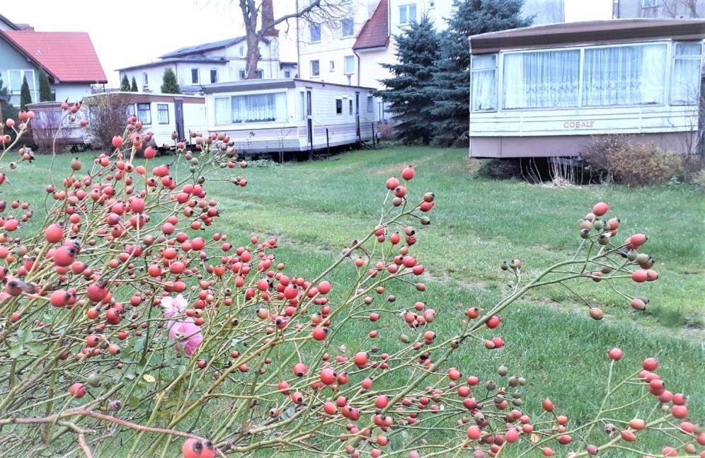 Ow Wilk - Pokoje I Domki Z Aneksami Kuchennymi, Parking, Plac Zabaw Łeba Exteriör bild